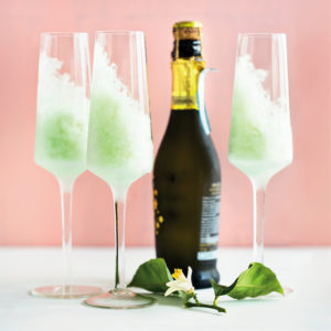 Read more about the article Champers and apple granita