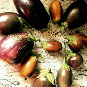 Read more about the article Heirlooms: A taste of history