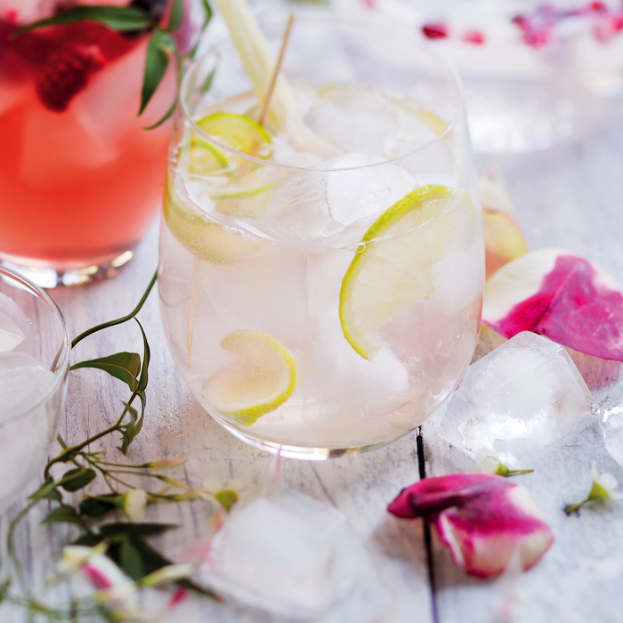 Read more about the article Gin cocktail with rose and lime