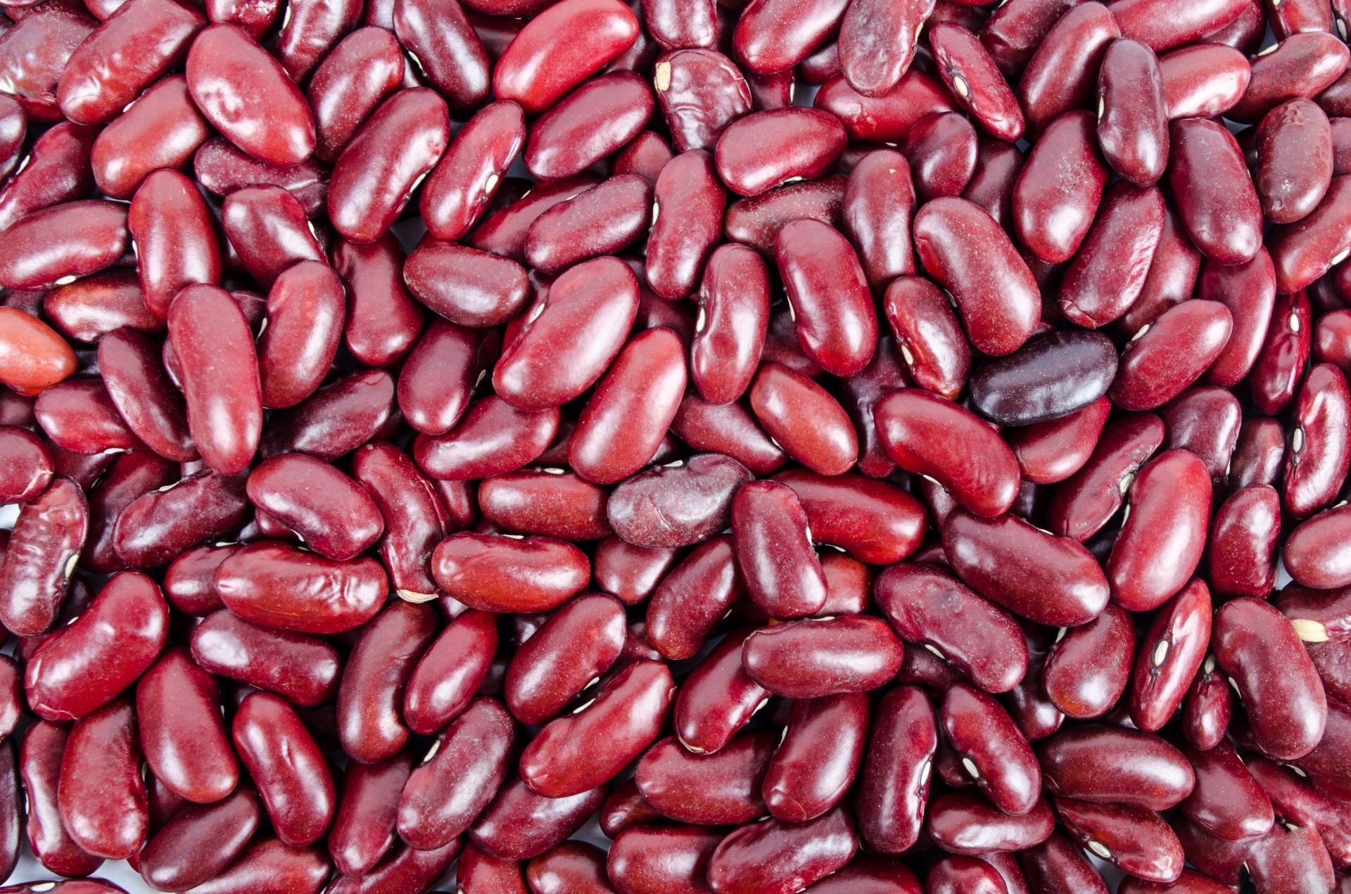 Read more about the article Know your beans
