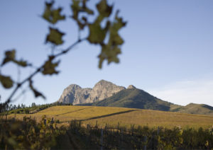 Read more about the article The Stellenbosch Wine Route snags award at the International Wine Tourism Challenge 2017