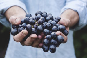 Read more about the article Grab the grapes! These are the tastiest ways to eat them