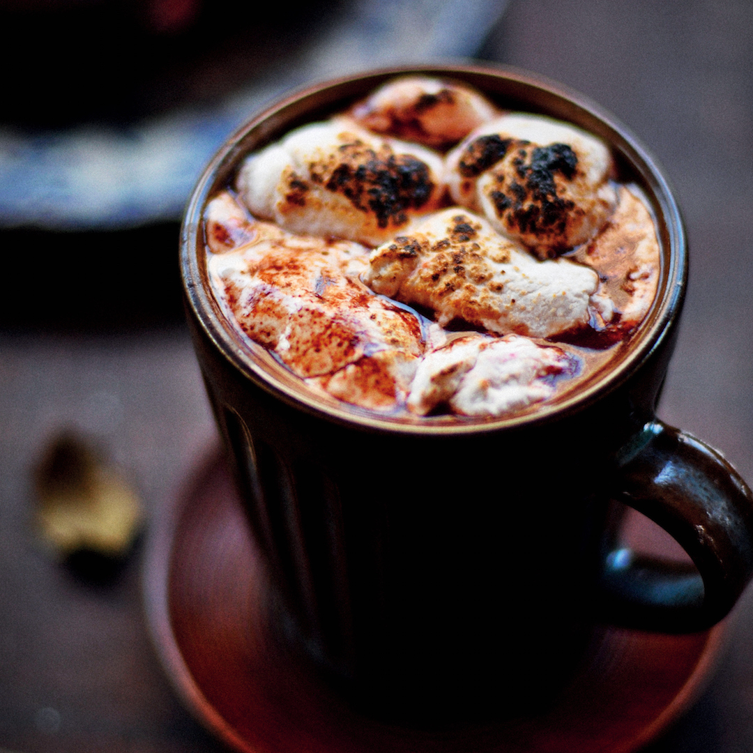 Read more about the article Malted hot chocolate with toasted marshmallows