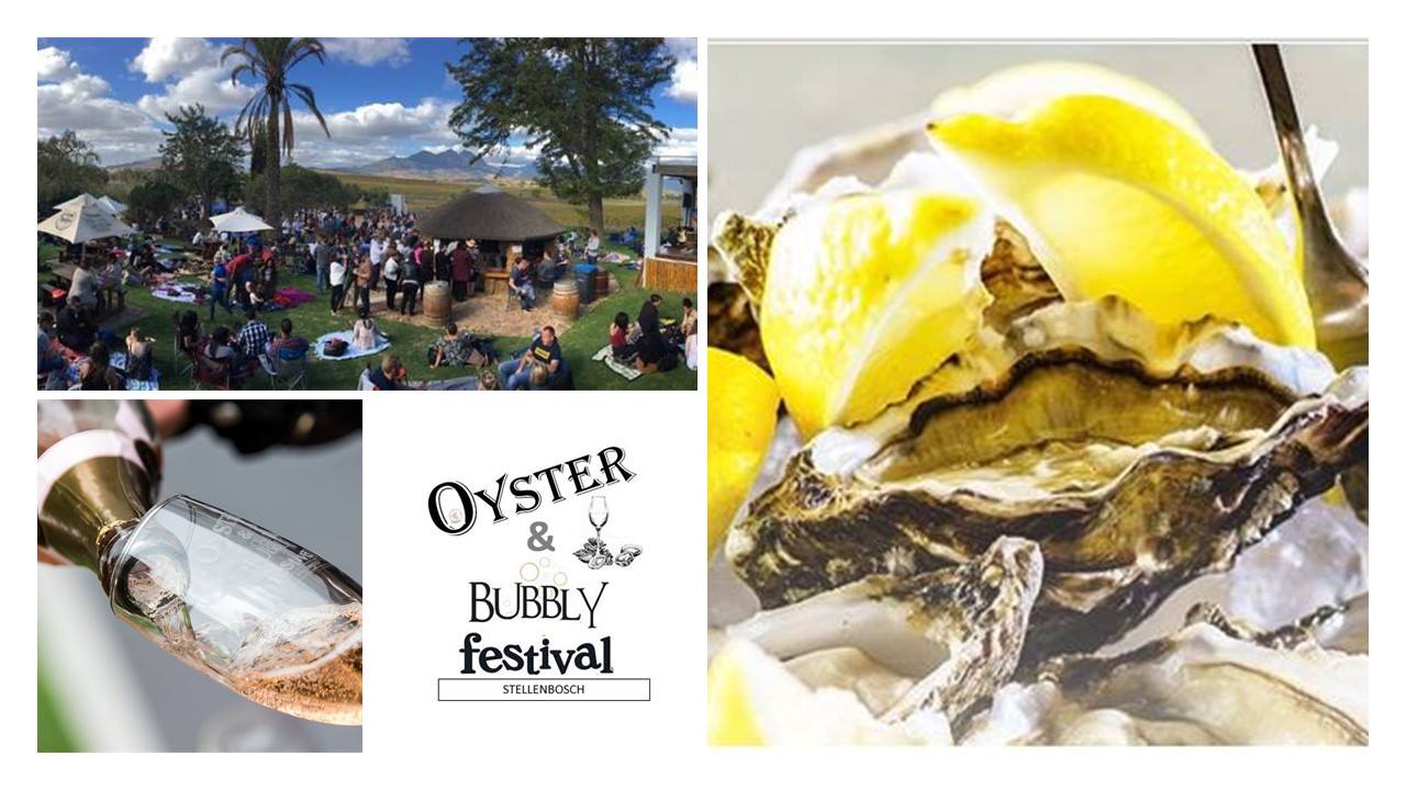 Read more about the article Stellenbosch Oyster and Bubbly Festival