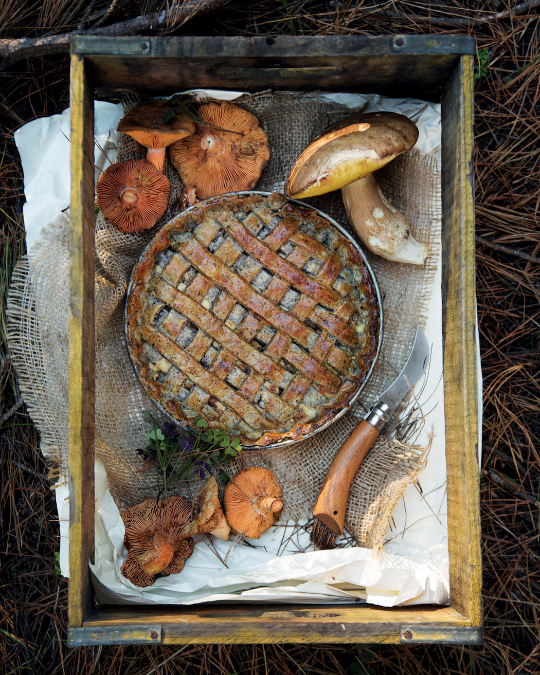 You are currently viewing Meat-free mushroom pie with sesame pastry