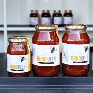 Read more about the article Bongi Bees: A Woman-Owned Beekeeping Business