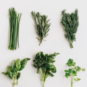 Read more about the article How To Keep Herbs Fresh