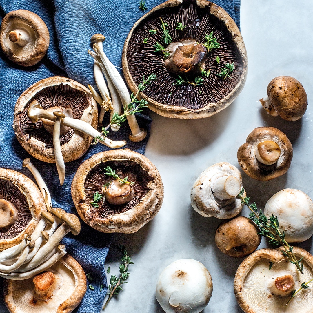 Read more about the article 4 delicious ways with mushrooms