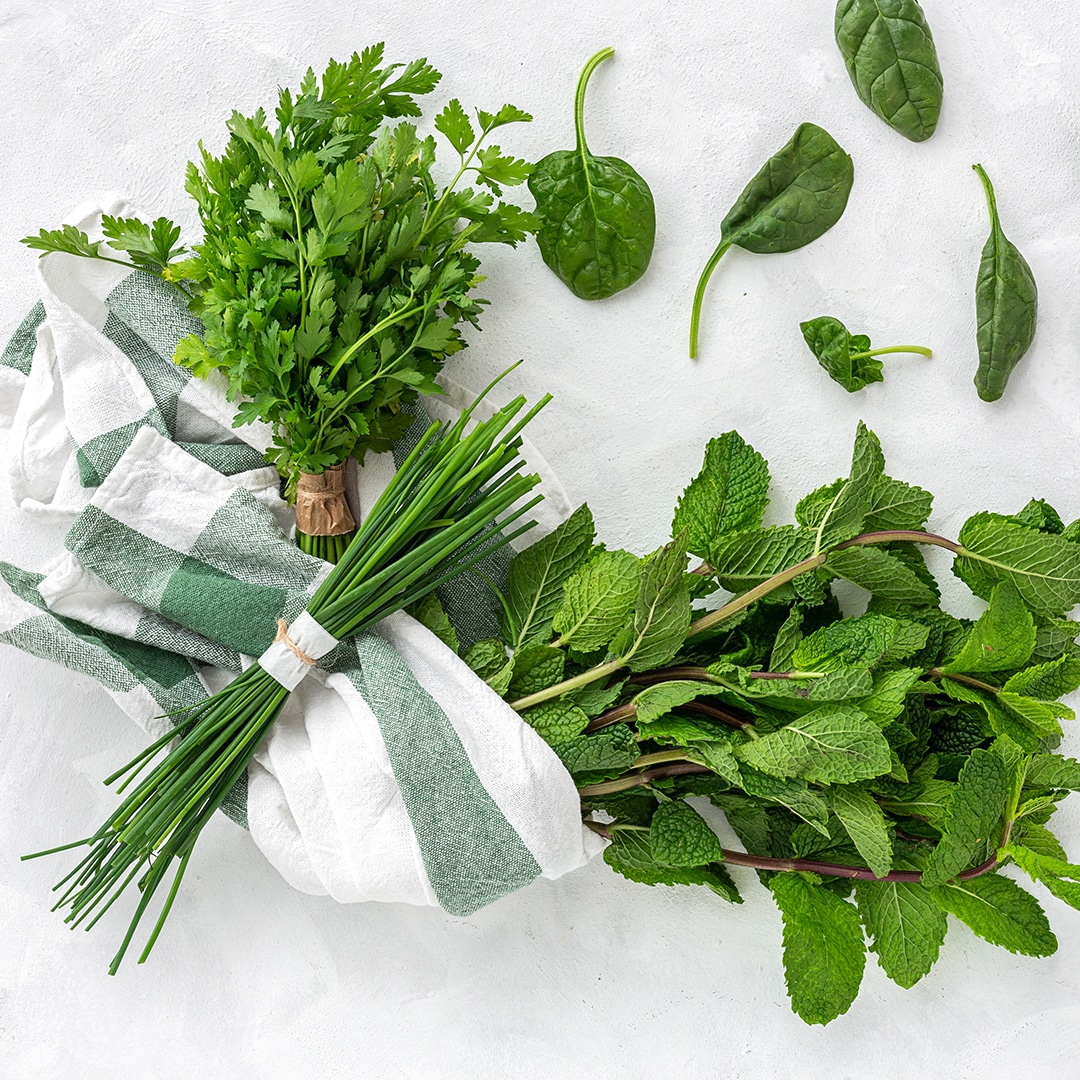 Read more about the article 3 herbs that will thrive indoors 