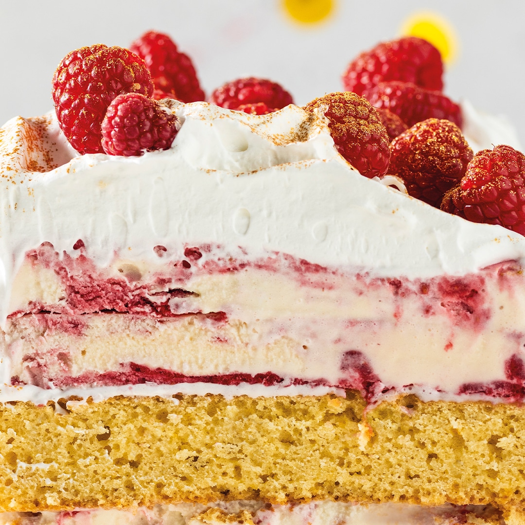 Read more about the article Frozen raspberry ripple cake 